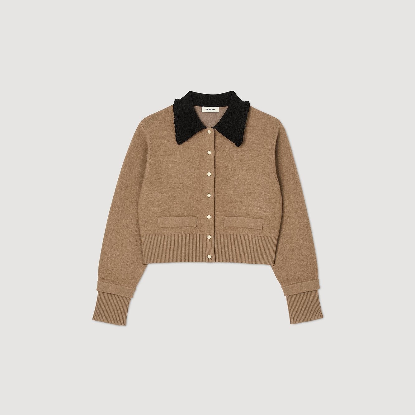 Camel