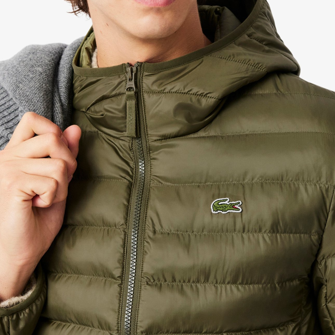 OLIVE 06Y